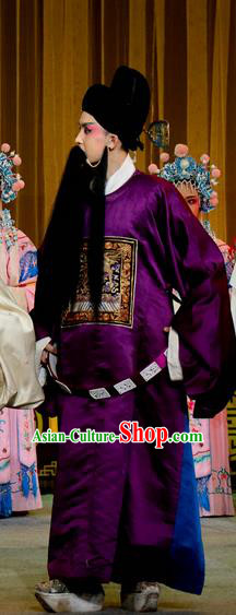 Jin Dian Shen La Chinese Sichuan Opera Laosheng Apparels Costumes and Headpieces Peking Opera Elderly Male Garment Minister Clothing