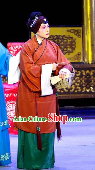 Chinese Sichuan Opera Elderly Woman Garment Costumes and Hair Accessories Sheng Si Pai Traditional Peking Opera Pantaloon Dress Dame Apparels