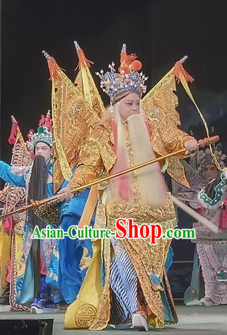 Shuang Ba Lang Chinese Sichuan Opera Elderly Male Apparels Costumes and Headpieces Peking Opera General Yang Jiye Garment Armor Clothing with Flags
