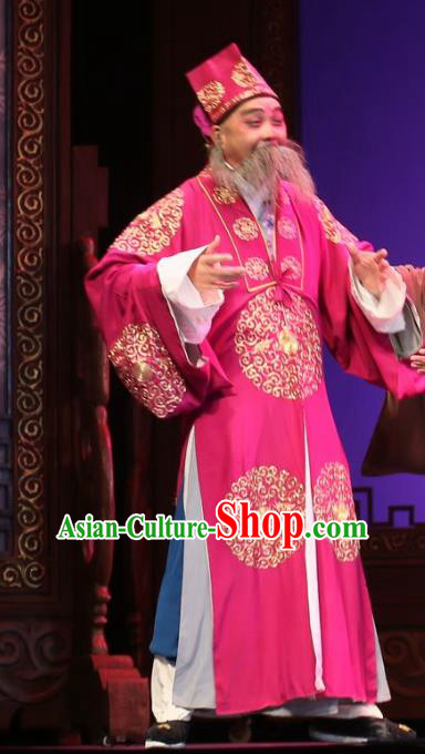 He Zhu Pei Chinese Sichuan Opera Ministry Councillor Apparels Costumes and Headpieces Peking Opera Elderly Male Garment Landlord Jin Sanguan Clothing