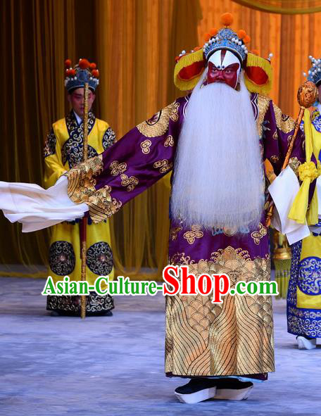Da Bao Guo Er Jin Gong Chinese Peking Opera Laosheng Garment Costumes and Headwear Beijing Opera Elderly Male Yang Bo Apparels Clothing