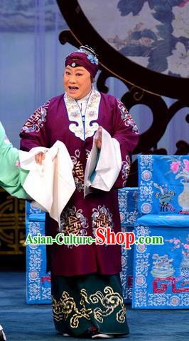 Chinese Beijing Opera Noble Dame Apparels Costumes and Headdress The Unicorn Purse Traditional Peking Opera Laodan Dress Elderly Female Garment