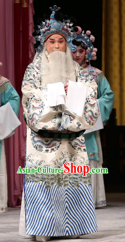 Xi Shi Chinese Peking Opera Elderly Official Wu Zixu Garment Costumes and Headwear Beijing Opera Apparels Old Man Python Embroidered Rob Clothing