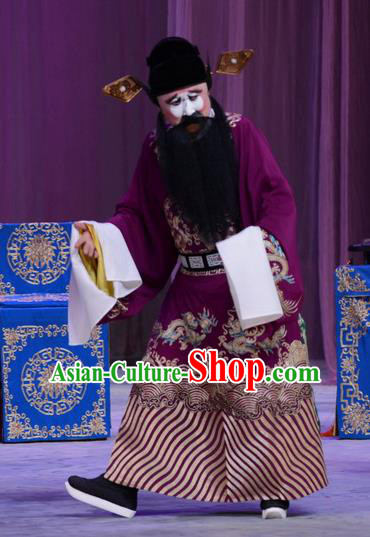 Chu Palace Hen Chinese Peking Opera Laosheng Garment Costumes and Headwear Beijing Opera Treacherous Official Fei Wuji Apparels Clothing