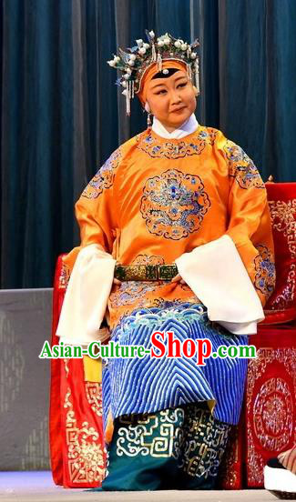 Chinese Beijing Opera Pantaloon Apparels Costumes and Headdress A Honey Trap Traditional Peking Opera Noble Dame Dress Countess Garment