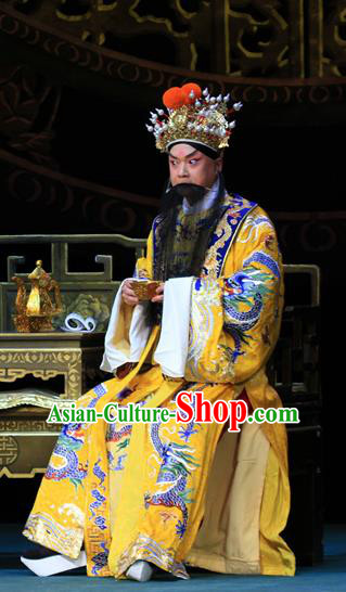 Luo Yang Gong Chinese Peking Opera Elderly Male Garment Costumes and Headwear Beijing Opera Emperor Li Shimin Apparels Monarch Clothing