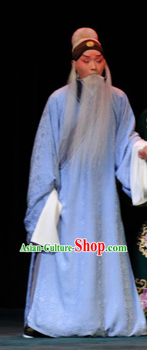 Luo Yang Gong Chinese Peking Opera Old Man Garment Costumes and Headwear Beijing Opera Laosheng Fang Xuanling Apparels Clothing