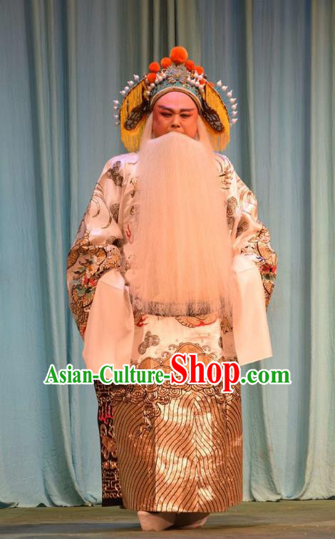 Da Jin Zhi Chinese Shanxi Opera Lord Apparels Costumes and Headpieces Traditional Jin Opera Laosheng Garment Duke Guo Ziyi Clothing