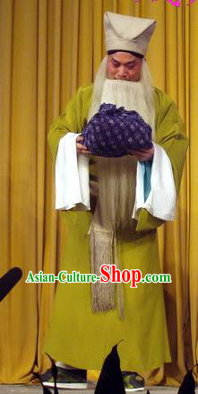 Pao Bian Jing Chinese Qu Opera Elderly Male Apparels Costumes and Headpieces Traditional Henan Opera Laosheng Garment Dou Jiucheng Clothing