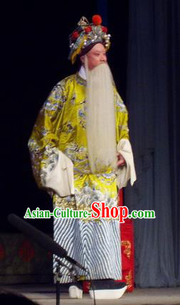 The Romance of Hairpin Chinese Qu Opera Laosheng Apparels Costumes and Headpieces Traditional Henan Opera Elderly Male Garment Governor Qian Zaihe Clothing