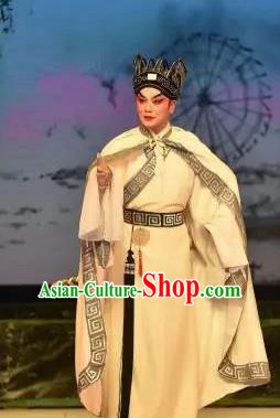 Chinese Guangdong Opera Xiaosheng Fan Li Apparels Costumes and Headpieces Traditional Cantonese Opera Young Male Garment Niche Clothing