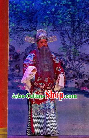 Qian Tang Su Xiaoxiao Chinese Guangdong Opera Laosheng Apparels Costumes and Headpieces Traditional Cantonese Opera Elderly Male Garment Official Ruan Shaoye Clothing