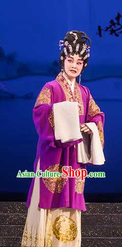 Chinese Cantonese Opera Rich Female Garment The Romance of Hairpin Costumes and Headdress Traditional Guangdong Opera Dame Apparels Landlord Shiva Dress