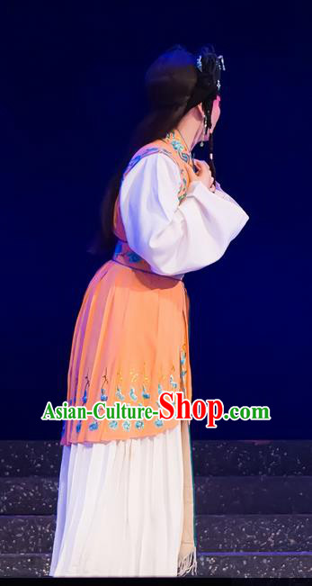 Chinese Cantonese Opera Hua Tan Garment The Romance of Hairpin Costumes and Headdress Traditional Guangdong Opera Actress Apparels Young Female Dress