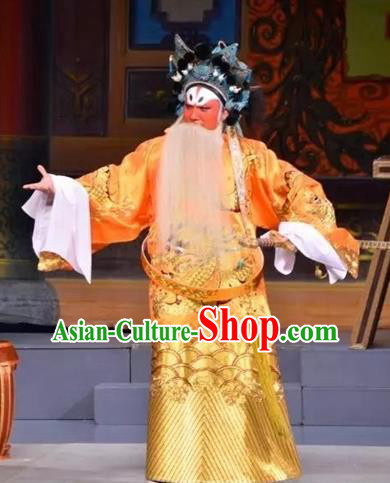 Story of the Violet Hairpin Chinese Guangdong Opera Official Apparels Costumes and Headpieces Traditional Cantonese Opera Jing Garment Elderly Male Clothing