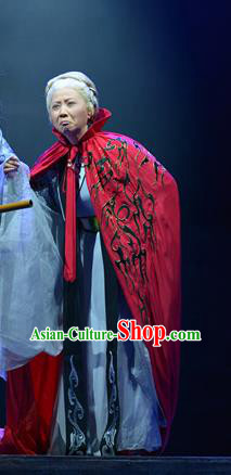 Chinese Cantonese Opera Elderly Female Garment King of Nanyue Kingdom Costumes and Headdress Traditional Guangdong Opera Dame Apparels Old Woman Dress