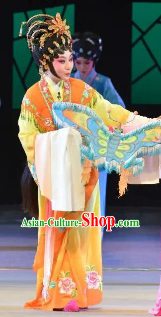 Chinese Cantonese Opera Actress Garment Search the College Costumes and Headdress Traditional Guangdong Opera Young Female Apparels Hua Tan Dress