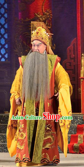 Chinese Guangdong Opera Laosheng Apparels Costumes and Headwear Traditional Cantonese Opera King Miaozhuang Garment Elderly Male Clothing