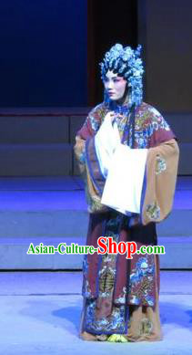 Chinese Cantonese Opera Elderly Female Garment The Strange Stories Costumes and Headdress Traditional Guangdong Opera Dame Apparels Mistress Dress