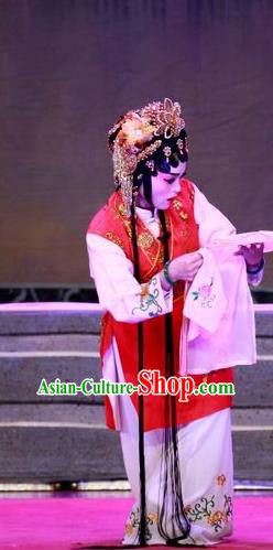 Chinese Cantonese Opera Young Mistress Lin Chunhua Garment Escape from Banishment Costumes and Headdress Traditional Guangdong Opera Actress Apparels Diva Dress
