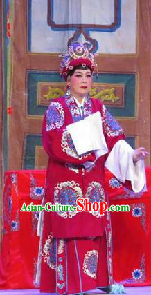 Chinese Cantonese Opera Rich Dame Garment Wu Nv Bai Shou Costumes and Headdress Traditional Guangdong Opera Elderly Female Apparels Pantaloon Dress