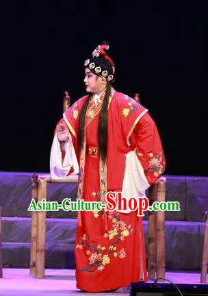 the Legend of Gold Rice Chinese Guangdong Opera Bridegroom Apparels Costumes and Headwear Traditional Cantonese Opera Young Male Garment Xiaosheng Lu Yacan Clothing