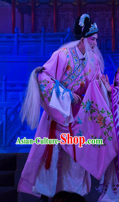 Wu Suo Dong Gong Chinese Guangdong Opera Eunuch Apparels Costumes and Headwear Traditional Cantonese Opera Palace Servant Garment Clothing