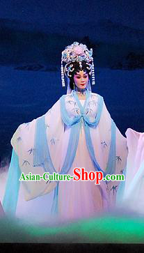 Chinese Cantonese Opera Fairy Garment Dongpo And Zhaoyun Costumes and Headdress Traditional Guangdong Opera Diva Apparels Young Female Dress