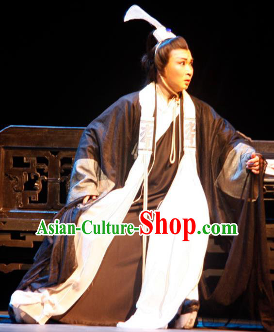 Chinese Traditional Ming Dynasty Scholar Apparels Costumes Historical Drama Ancient Gifted Youth Garment Wen Zhong Clothing and Headwear