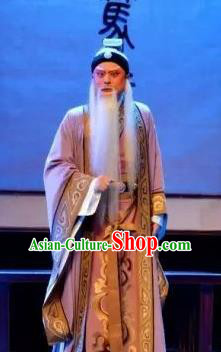 Yi Shui Han Chinese Guangdong Opera Laosheng Apparels Costumes and Headwear Traditional Cantonese Opera Official Garment Elderly Male Clothing