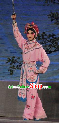 Chinese Cantonese Opera Swordswoman Garment Fan Lihua Return Tang Costumes and Headdress Traditional Guangdong Opera Wudan Apparels Martial Female Pink Dress