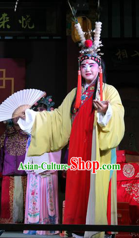 Jin Dian Jing Song Chinese Sichuan Opera Young Male Apparels Costumes and Headpieces Peking Opera Highlights Clown Garment King Songkang Clothing