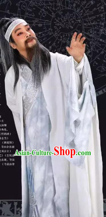 Luo Xiahong Chinese Sichuan Opera Elderly Scholar Apparels Costumes and Headpieces Peking Opera Highlights Astronomer Garment Laosheng Clothing