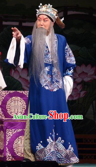 Wang Baochuan Chinese Bangzi Opera Laosheng Wang Yun Apparels Costumes and Headpieces Traditional Hebei Clapper Opera Elderly Male Garment Official Clothing