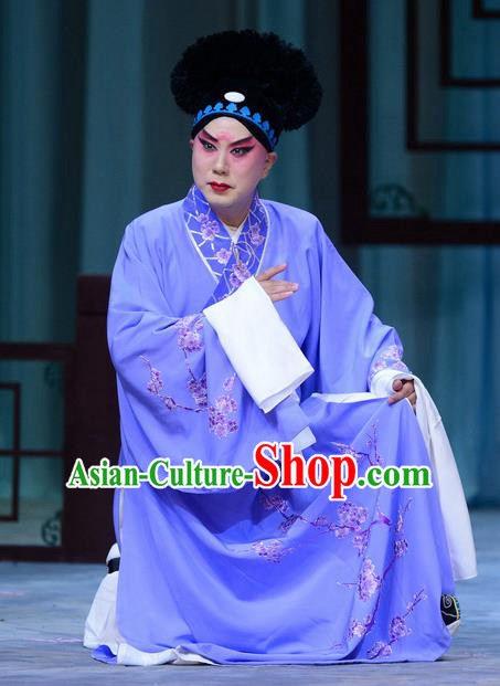 Zhen Zhu Shan Chinese Bangzi Opera Xiaosheng Jiang Xing Apparels Costumes and Headpieces Traditional Hebei Clapper Opera Young Male Garment Merchant Clothing